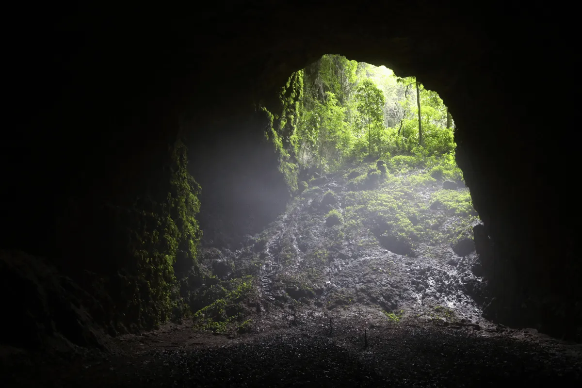 Adventure Awaits: Explore Jomblang Cave and Oyo River Tubing